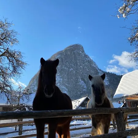 Apartamento Apartmaji Katrnjek