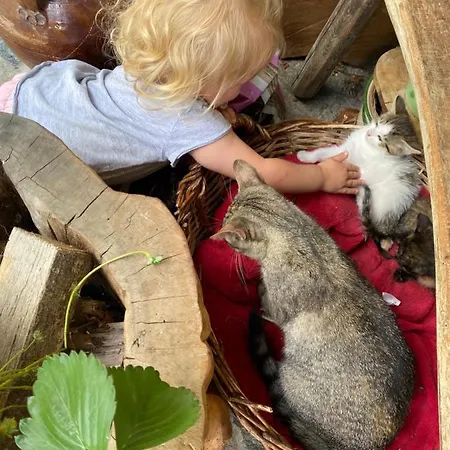 아파트 Apartmaji Katrnjek 보히니