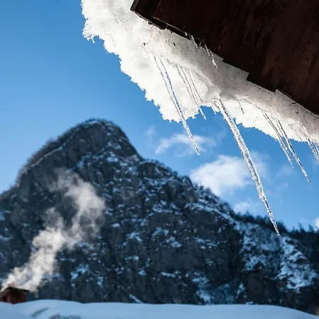 Apartmaji Katrnjek * Bohinj