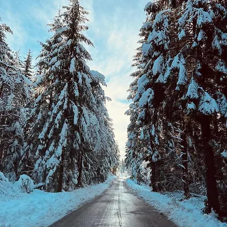 Apartmaji Katrnjek דירה *