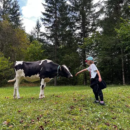 Apartmaji Katrnjek *