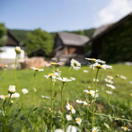 Apartment Apartmaji Katrnjek Bohinj