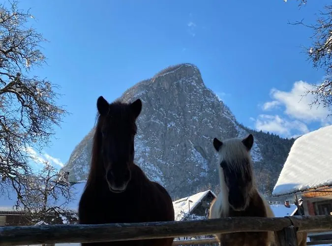 Διαμέρισμα Apartmaji Katrnjek