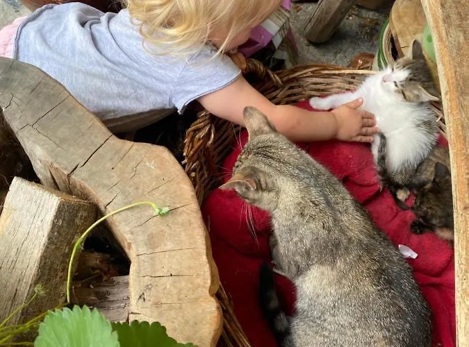 Daire Apartmaji Katrnjek Bohinj