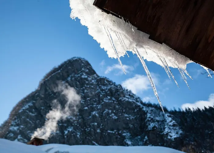 Apartmaji Katrnjek * Bohinj