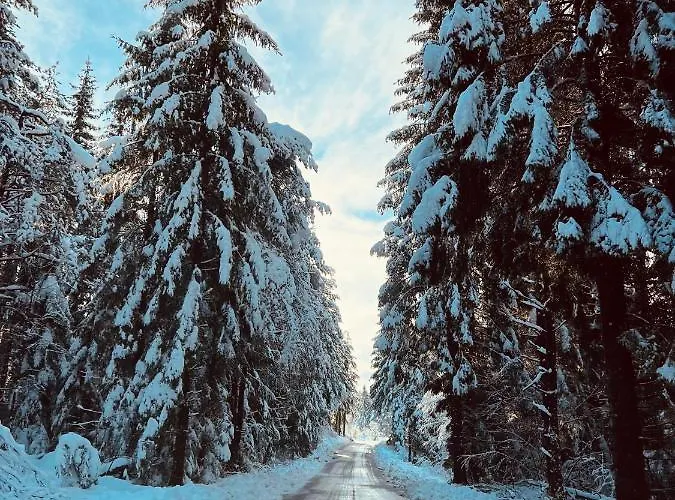 Apartmaji Katrnjek דירה *