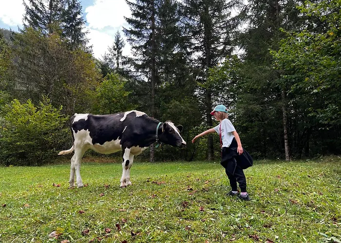 Apartmaji Katrnjek *