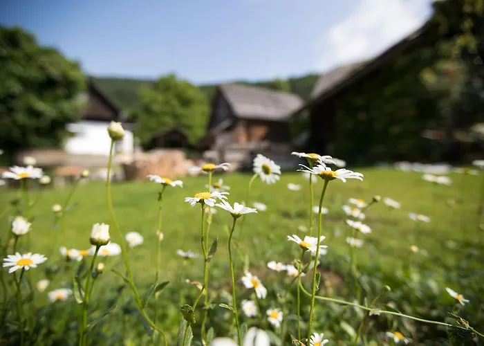 Daire Apartmaji Katrnjek Bohinj